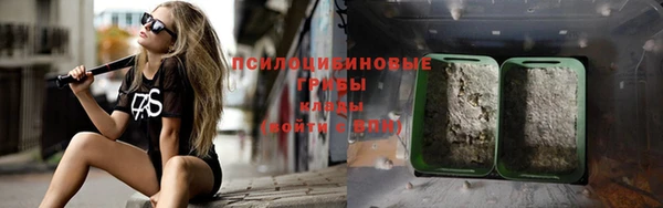 тгк Болхов