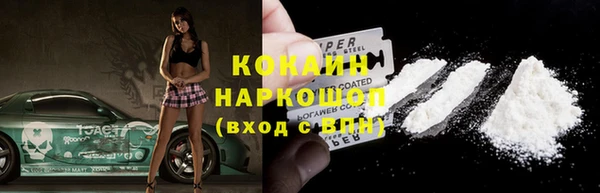 прущие грибы Болотное